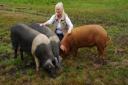 Champion Swansea Valley pork producer sets sights on sausage award