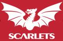 Scarlets face Leicester Tigers in round five of the European Rugby Champions Cup tomorrow evening’s opposition .