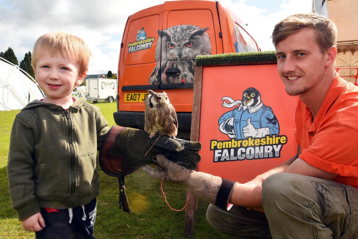 Three year old Bram meets Frodo the six year old Southern White Faced Owl at Pembrokeshire Falconry.  Pic Mark Davies