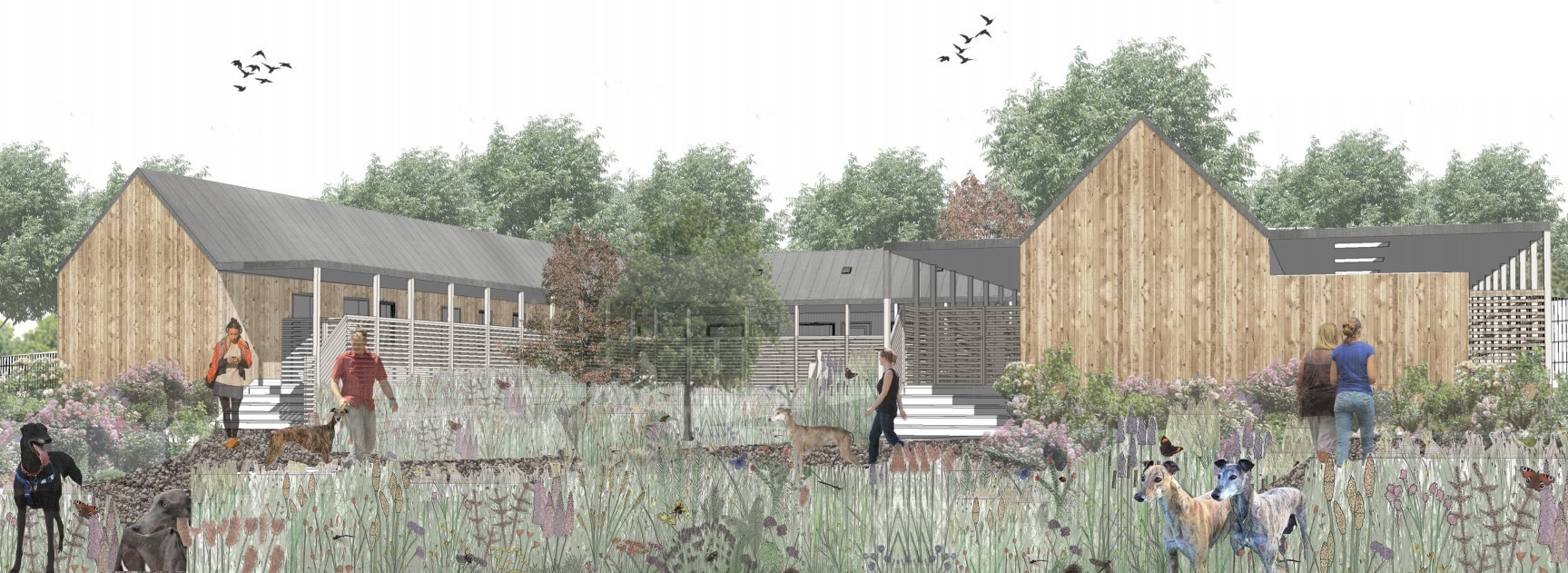 Image of what the new Greyhound Rescue Wales kennels, reception building and sensory garden will be like (image courtesy of architect Katherine Jones and free for use for all BBC wire partners)