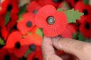 Ammanford Royal British Legion calls for volunteers for this year's Poppy Appeal