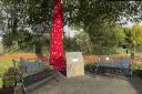 Blodau Ystradgynlais's Knitting Nannas and many other members of the community have created this tribute to the fallen members of our community and elsewhere. It has been placed opposite the cenotaph in the Gorsedd Park and will be displayed in