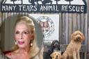 You can enjoy afternoon tea with former I'm a Celebrity star Lady C with Many Tears Animal Rescue