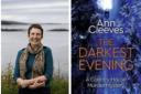 Ann Cleeves' The Darkest Evening script will provide the basis for a murder mystery at Ammanford Library next month.