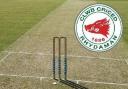 Cricket: Ammanford crash out