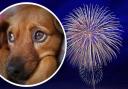 RSPCA Cymru has warned of lanterns and fireworks this New Year's