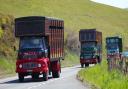 A trio of lorries on the run. Picture:  E A Bates