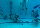 Underwater hockey really is a team sport, relying on your team to support and power ahead to send the puck into the opponent's goal. Picture: Ammanford Underwater Hockey