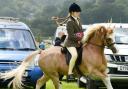 Ellen Griffiths puts the overall champion in the horse section through its paces. Picture: Stuart Ladd
