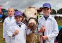 Llandeilo Show will be held on August 19. Picture: Mark Davies