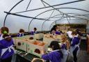 Ysgol Y Bedol pupils designing hedgehog boxes