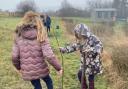 Pupils at Ysgol Gwaun Cae Gurwen collaborated with Celtic Wildflowers recently  to plant 20 trees on the school grounds