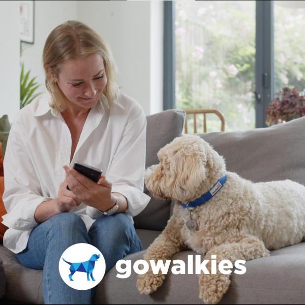 South Wales Guardian: GoWalkies is quick and easy to use from both the walkers and owners perspective. (GoWalkies)
