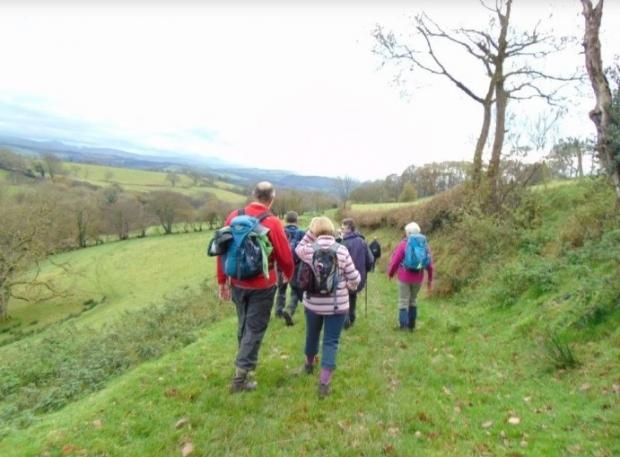 South Wales Guardian: A group enjoying a walk on the Heart of Wales Line Trail