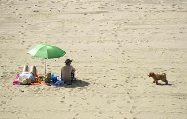 South Wales Guardian: Surfaces such as sand can absorb a lot of heat on sunny days and burn pet’s paws. Picture: PA