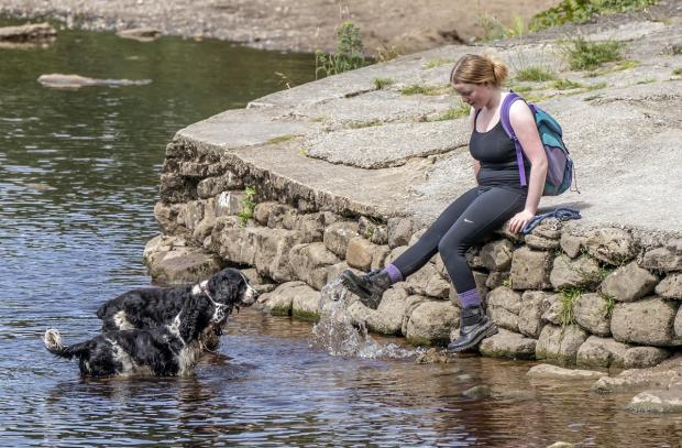 South Wales Guardian: Gulping down too much water can be dangerous - keep an eye on dogs if playing water and move on when they’ve had their fill. Picture: PA