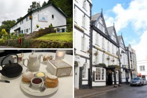 The places in Monmouthshire with the best food hygiene ratings.