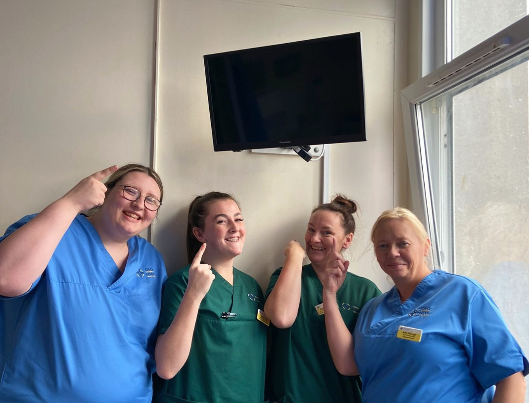 Glangwili Hospital's Preseli Ward gets new TVs from donations - Vimarsana News