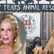 You can enjoy afternoon tea with former I'm a Celebrity star Lady C with Many Tears Animal Rescue