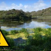 There will be warning signs in place about the algae. Picture: Archive