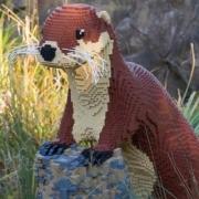 Lottie the amazing Lego Otter will be visiting Llanelli Wetlands throughout the summer holidays