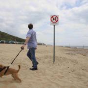 In Carmarthenshire there are May 1 to September 30 restrictions at Cefn Sidan and Llansteffan beaches.