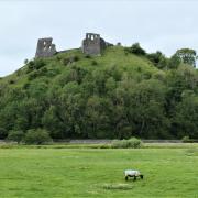 Dryslwyn Castle taken by Wendy Stephens, Llandybie