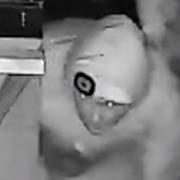 A shed was allegedly broken into and the culprits caught on CCTV