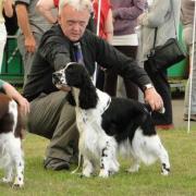 Gareth Lawler at a dog show. Picture: Wales News Service