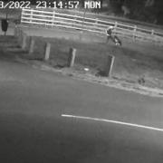 The CCTV footage showing the incident
