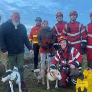 Maude and her canine companions are pictured with the rescuers from Pontardawe fire station.