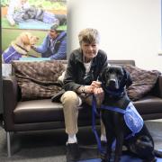Liz's life has been turned around thanks to assistance dog Russell following the retirement of her last assistance dog Duffy. Picture: Support Dogs.