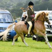 Ellen Griffiths puts the overall champion in the horse section through its paces. Picture: Stuart Ladd