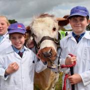 Llandeilo Show will be held on August 19. Picture: Mark Davies