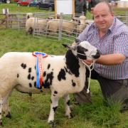 H D Harries from Manordeilo with his champion sheep in the lowland or continental section. Picture: Stuart Ladd