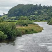 River Towy at Llangathen bridge. Picture: Gaz Griffiths Prendiville