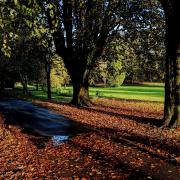 Parc y Betws in autumn