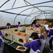 Ysgol Y Bedol pupils designing hedgehog boxes