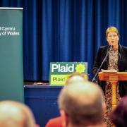 Plaid Cymru county councillor Ann Davies has launched her campaign for the Carmarthenshire seat in Westminster.