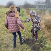 Pupils at Ysgol Gwaun Cae Gurwen collaborated with Celtic Wildflowers recently  to plant 20 trees on the school grounds