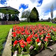 A colourful view at Ammanford Park