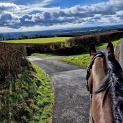 A stunning view on horseback from the top of Llannon.