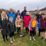 Children from Penygroes and Saron schools planted the first apple tree in the park