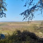 The view from the top of a muck heap in the back end of Brynamman