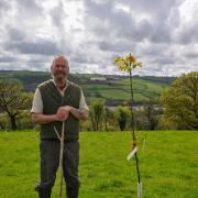 Martyn Williams is one of the pair who have planted trees to see if growing nuts could work in Wales