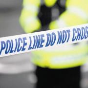 Police have confirmed the driver of a car has died in a crash involving a lorry.