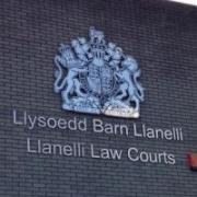 Two men appeared at Llanelli Magistrates' Court on firearms offences.