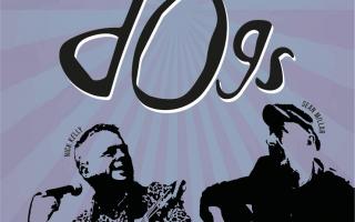 GIG: DOGS will be performing in Carmarthen