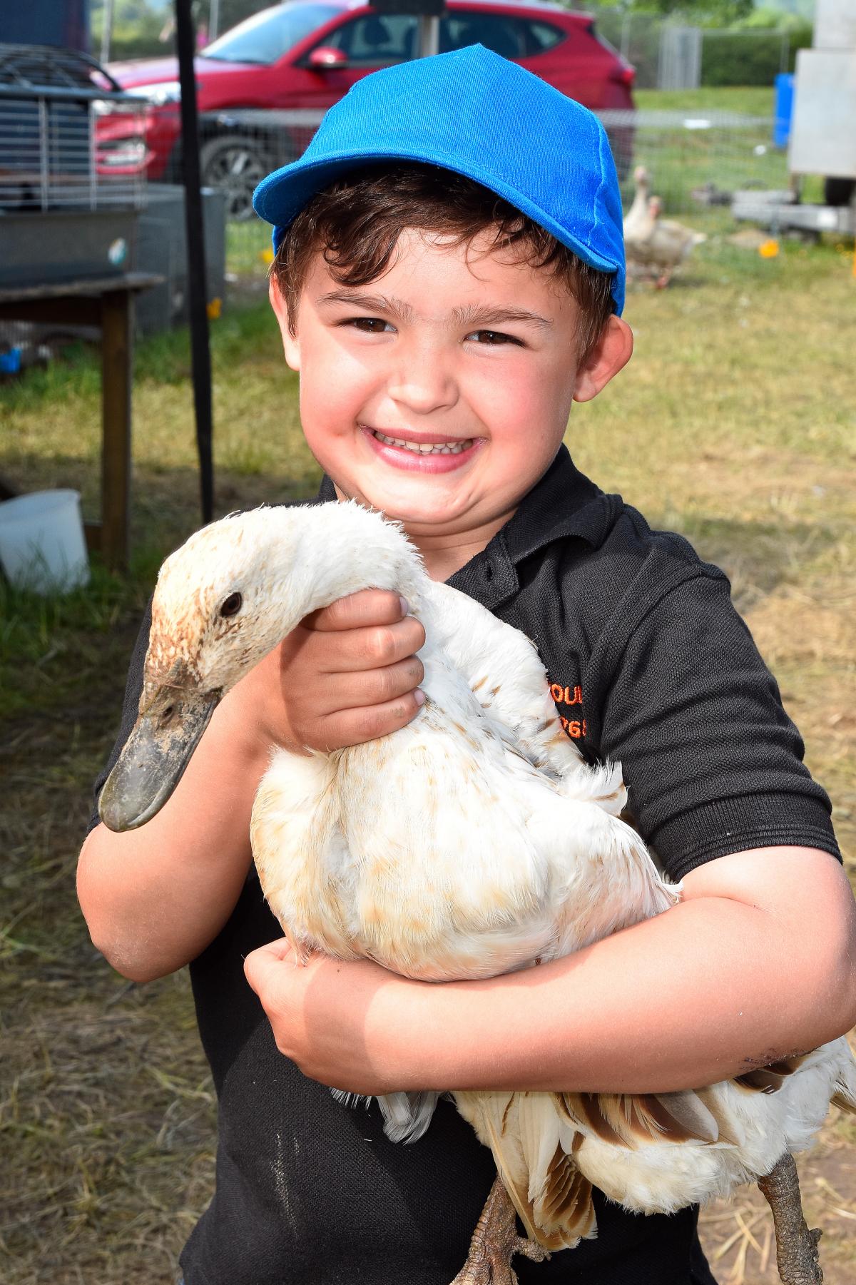 Five year old Thomos Sion Morgan from Bryngwyn Poultry shows off his Aylesbury Duck at the Welsh Countryman's Game Fair in Llandeilo over the Bank Holiday weekend.  Pic Mark Davies